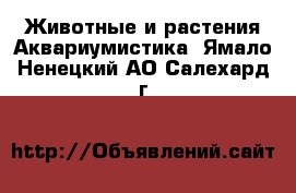 Животные и растения Аквариумистика. Ямало-Ненецкий АО,Салехард г.